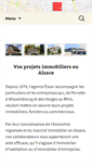Mobile Screenshot of essor.com